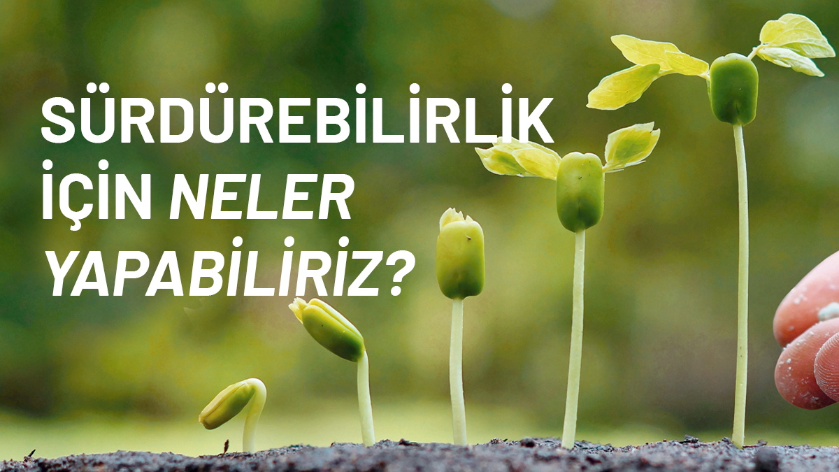 Sürdürülebilirlik Nedir