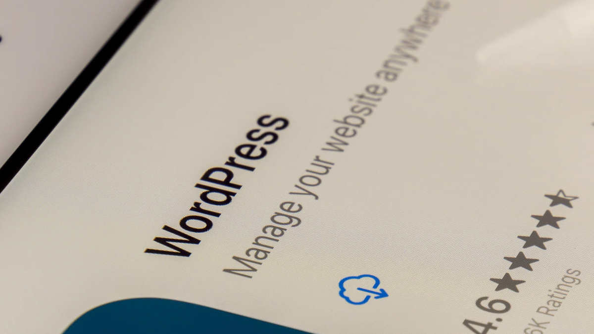 En İyi WordPress Eklentileri! WordPress Eklentileri ve İşlevleri (Güncel)